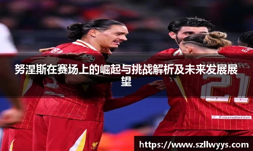 努涅斯在赛场上的崛起与挑战解析及未来发展展望